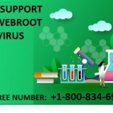 webrootsafe3
