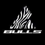 bullsbikesusa
